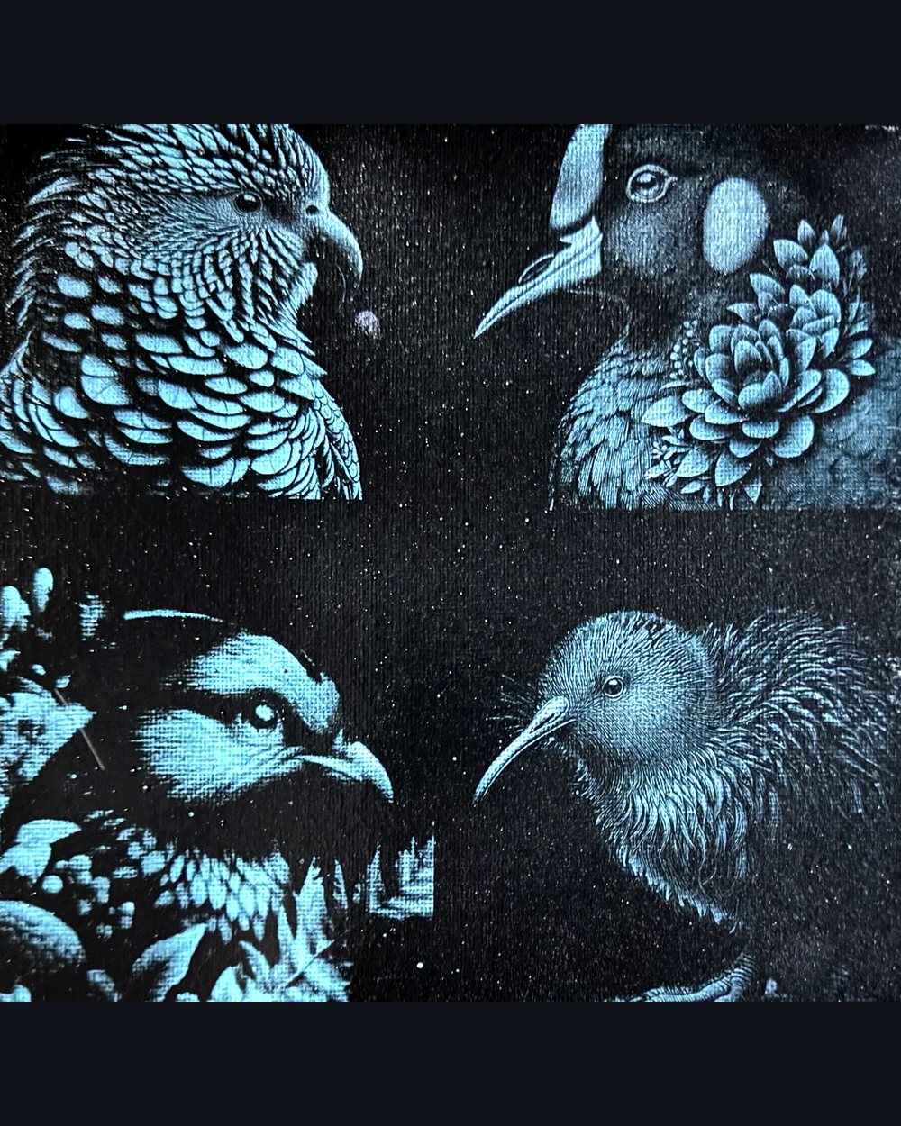 Four birds — kea, tūī, kiwi and coot — painted then laser-revealed