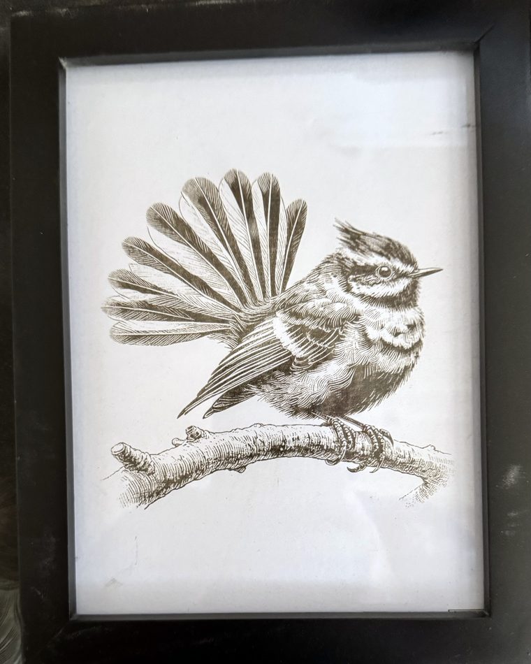 Pīwakawaka &mdash; engraved & framed