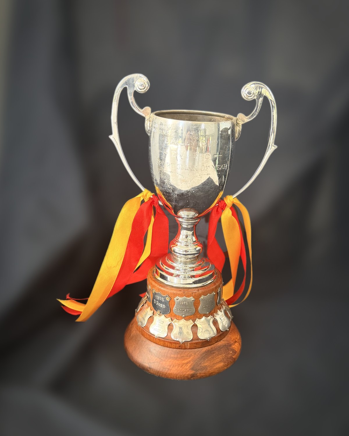 The Bailey Cup, a silver two-handled cup with red and yellow ribbons, on a turned base ringed with engraved winners' shields, the new bottom tier in rimu