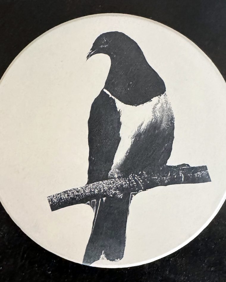 Tūī &mdash; engraved tile